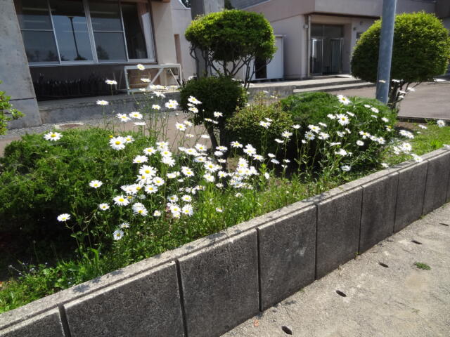 豊かな環境