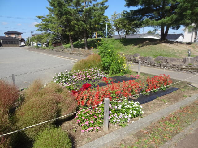 整備された環境