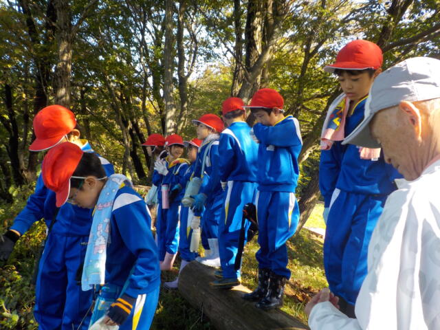 ３年悠々の杜探検