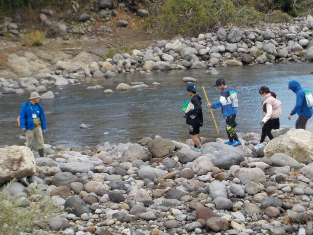 ５年生　川の学習