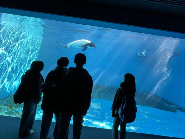 修学旅行　２日目