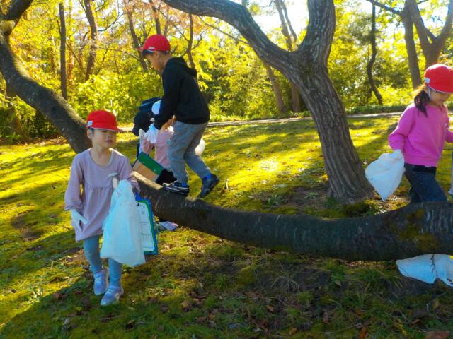 １年生　秋を探そう
