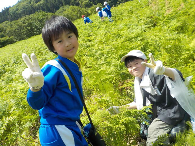３，４年　わりび採り