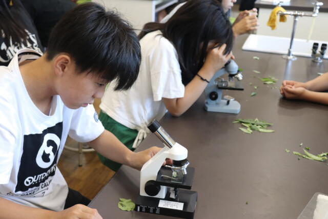 ６年生　授業の様子